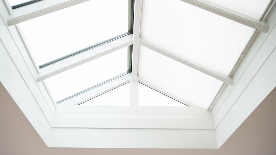 BOSS hybride plafond verf mat